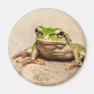 FROSE MAGNET