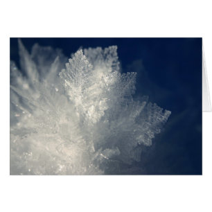 Frost