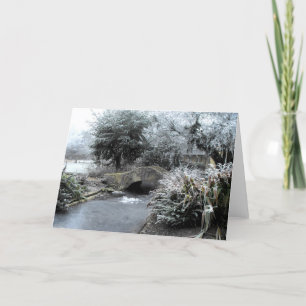 Frost and ice in a Somerset garden Holiday Card