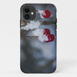 Frost Berries iPhone 11 Case