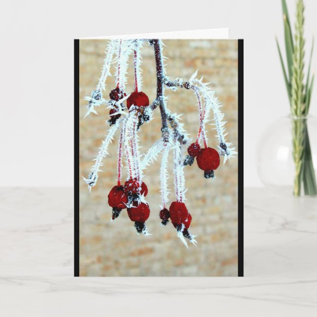 Frost Covered Berries Thinking Of You Card (Front)