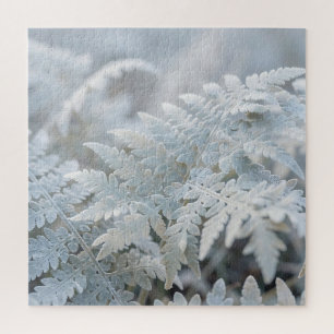 Frost Covered Fern Fronds Winter Closeup Jigsaw Puzzle