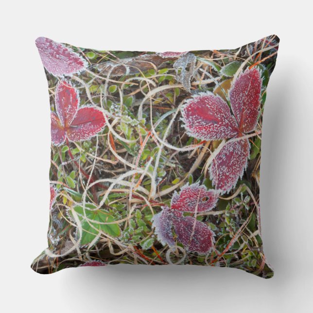 Frost covered leaves, Canada Cushion (Front)