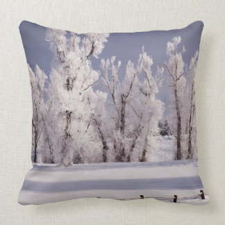Frost Covered Trees and Fence, Colorado Cushion