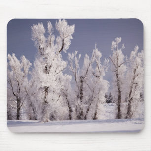 Frost Covered Trees and Fence, Colorado Mouse Pad