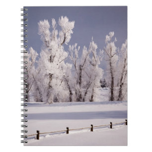 Frost Covered Trees and Fence, Colorado Notebook