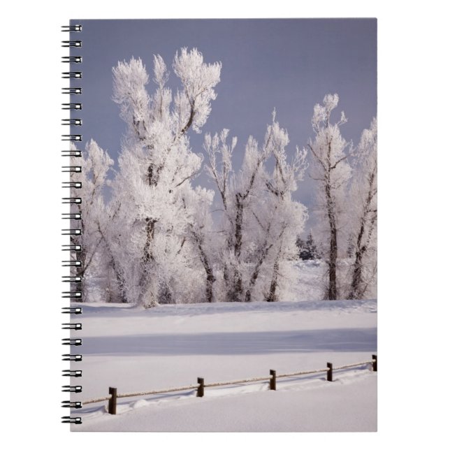 Frost Covered Trees and Fence, Colorado Notebook (Front)