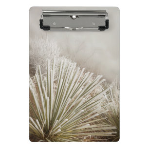 Frost Covered Yucca In Winter Mini Clipboard
