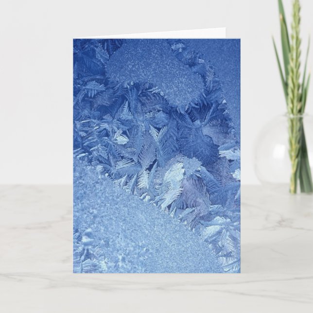 Frost Feathers Greeting Card (Front)