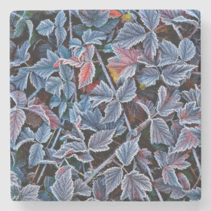 Frost on autumn leaves, Oregon Stone Coaster