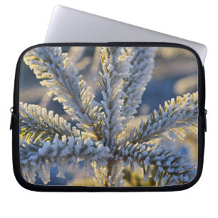 Frost on evergreen tree, Homer, Alaska Laptop Sleeve