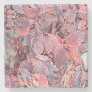 Frost on fallen leaves, Fall colours, Mill Creek Stone Coaster