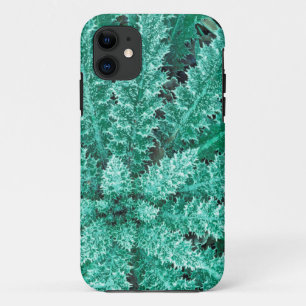 Frost On Thistle, Olympic National Park iPhone 11 Case