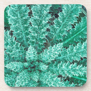 Frost On Thistle, Olympic National Park Coaster