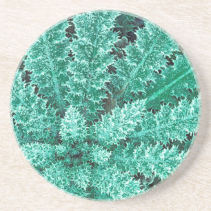 Frost On Thistle, Olympic National Park Coaster