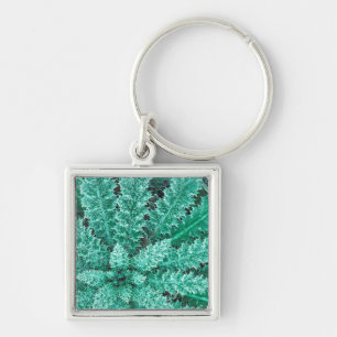 Frost On Thistle, Olympic National Park Key Ring