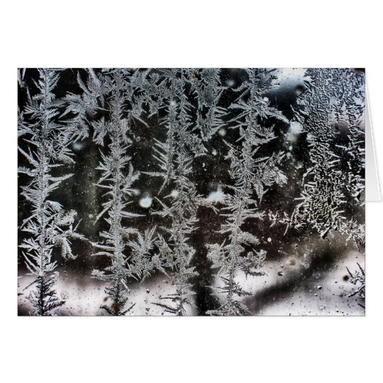 Frost on Window Card