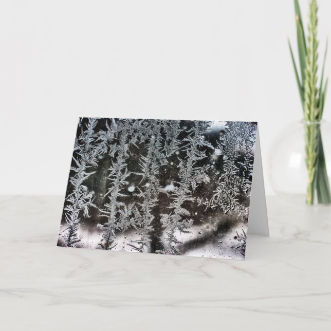 Frost on Window Holiday Card (Front)