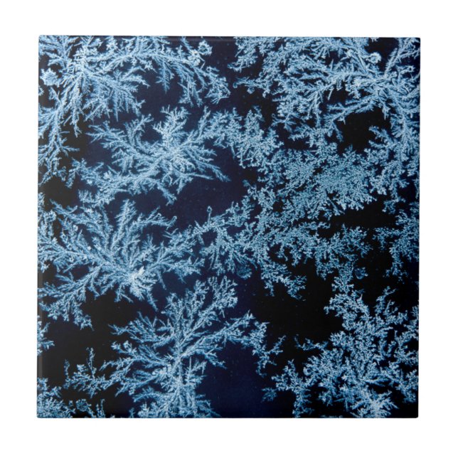 Frost patterns close-up, California Ceramic Tile (Front)