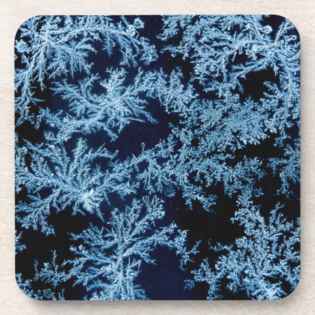 Frost patterns close-up, California Coaster (Front)