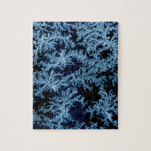 Frost patterns close-up, California Jigsaw Puzzle