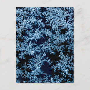 Frost patterns close-up, California Postcard