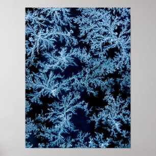 Frost patterns close-up, California Poster