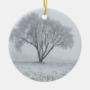 Frost Upon a Lonely Tree Ceramic Ornament