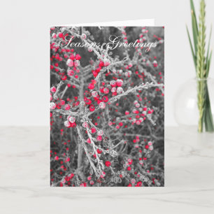 Frosted Berries Christmas Card