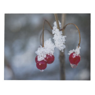 Frosted Berries Notepad