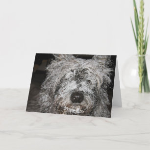 Frosted Cairn Holiday Card