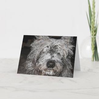 Frosted Cairn Holiday Card