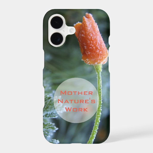 Frosted California Poppy Flower Photo Custom (Back)