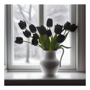 "Frosted Elegance: Black Tulips in a White Vase Photo Print