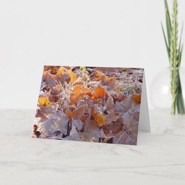 Frosted Leaves holiday greeting card (Front)