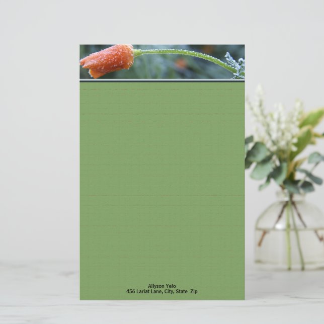 Frosted Orange California Poppy Personalised  Stationery (Standing Front)