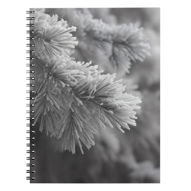 Frosted Pine Winter Branch Notebook (Front)