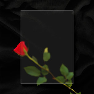 Frosted Plastic 5"x7" Blank Wedding Acrylic Invitations