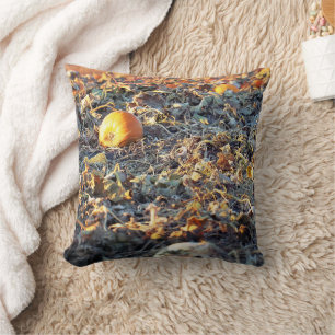 Frosted Pumpkin Patch  Cushion