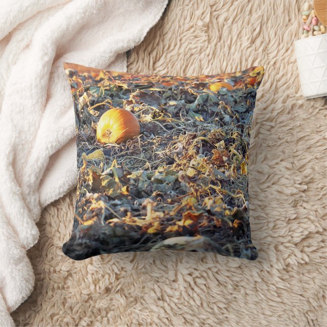 Frosted Pumpkin Patch  Cushion (Blanket)