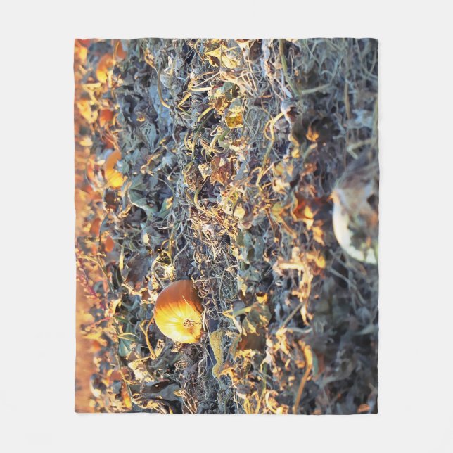 Frosted Pumpkin Patch  Fleece Blanket (Front)