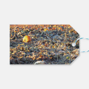 Frosted Pumpkin Patch  Gift Tags