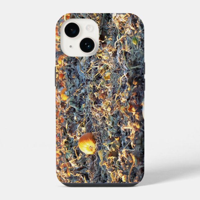 Frosted Pumpkin Patch  iPhone Case (Back)