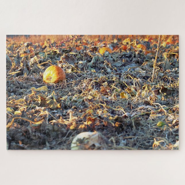 Frosted Pumpkin Patch  Jigsaw Puzzle (Horizontal)