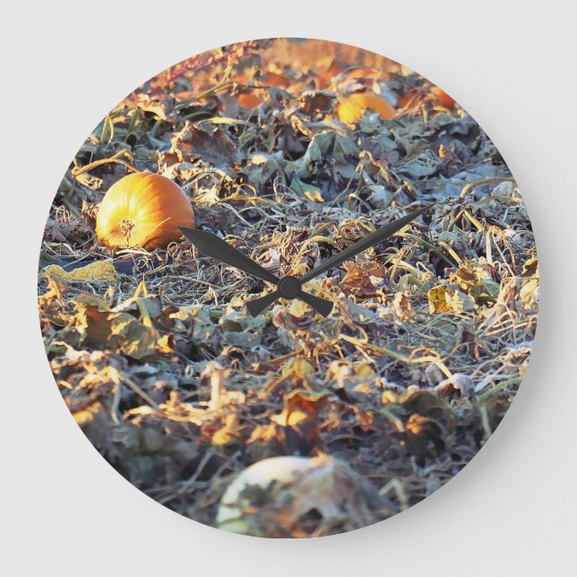 Frosted Pumpkin Patch  Large Clock (Front)