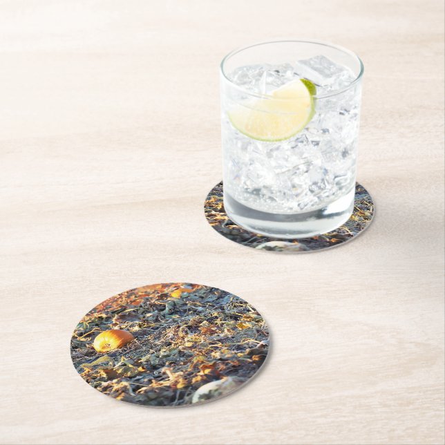 Frosted Pumpkin Patch  Round Paper Coaster (Insitu)