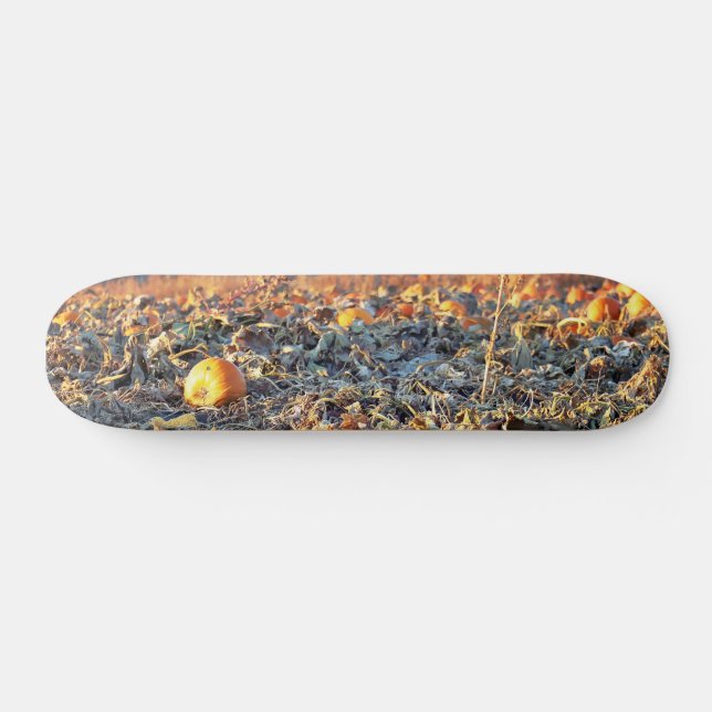 Frosted Pumpkin Patch  Skateboard (Horz)