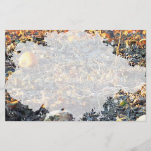 Frosted Pumpkin Patch Stationery