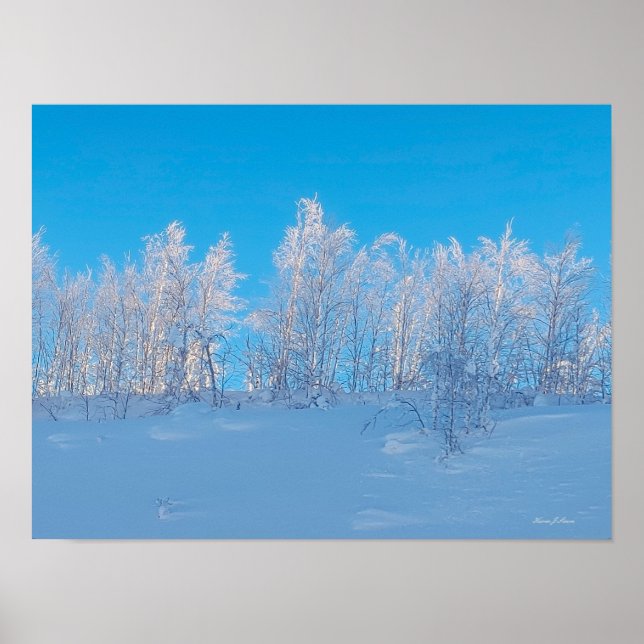 Frosted Trees Poster (Front)