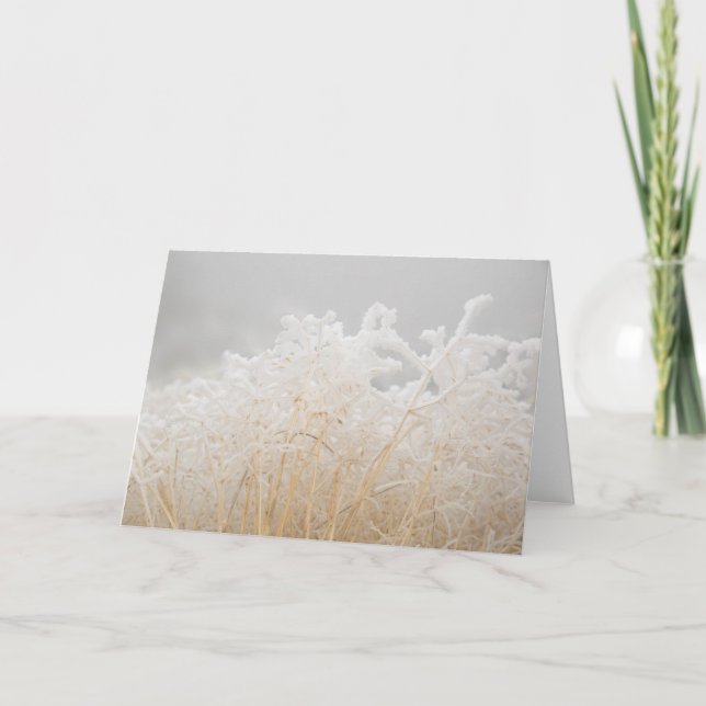 Frosted Winter Grasses Card (Front)